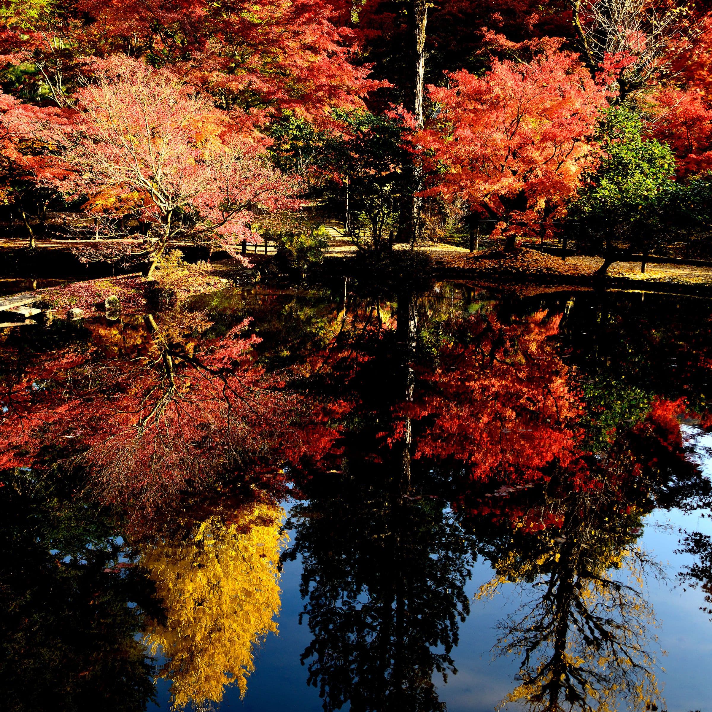 Kiso Park - Toki City, Japan